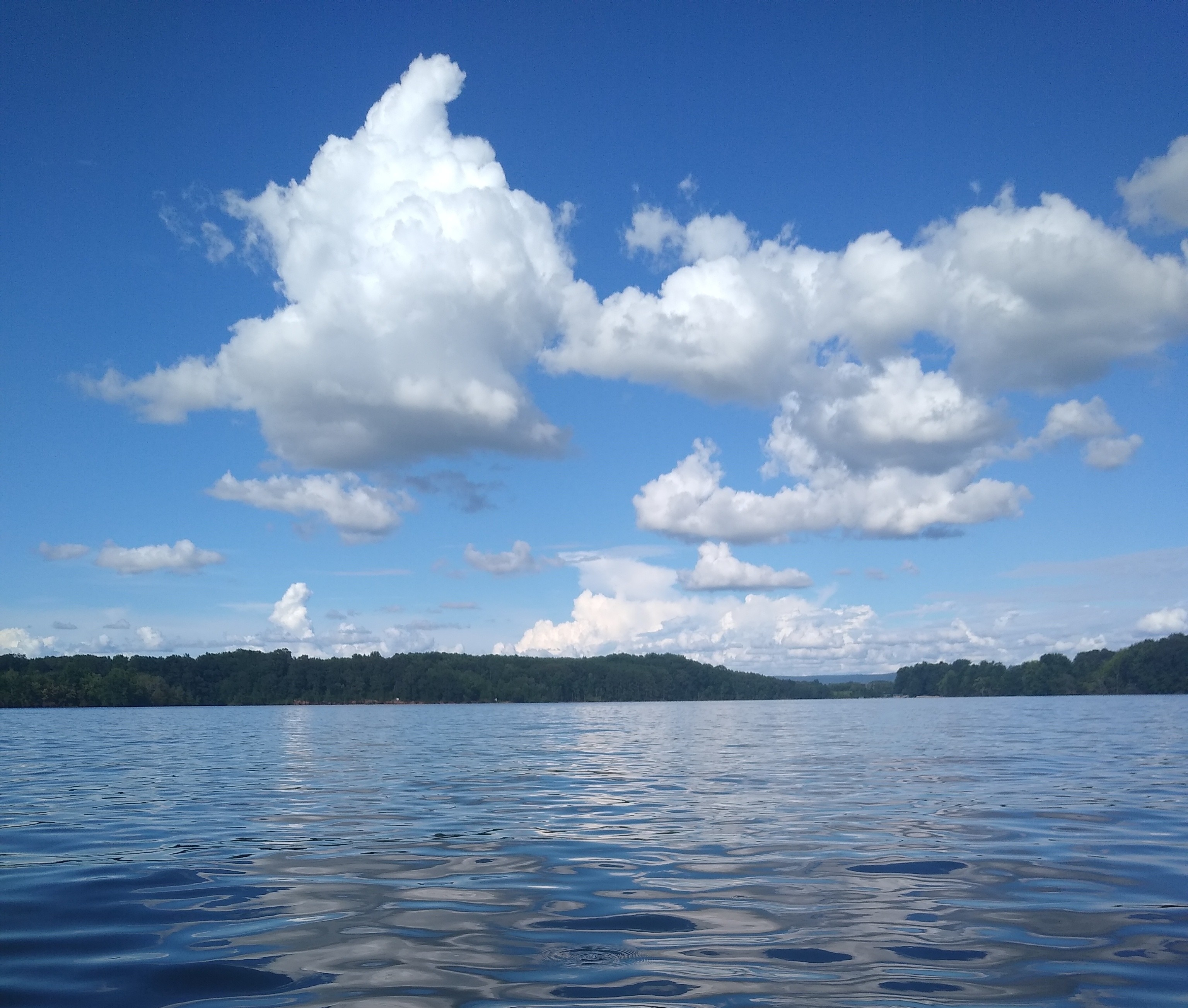 Scenic view of Tims Ford Lake near Valley Mini Storage in Winchester, TN
